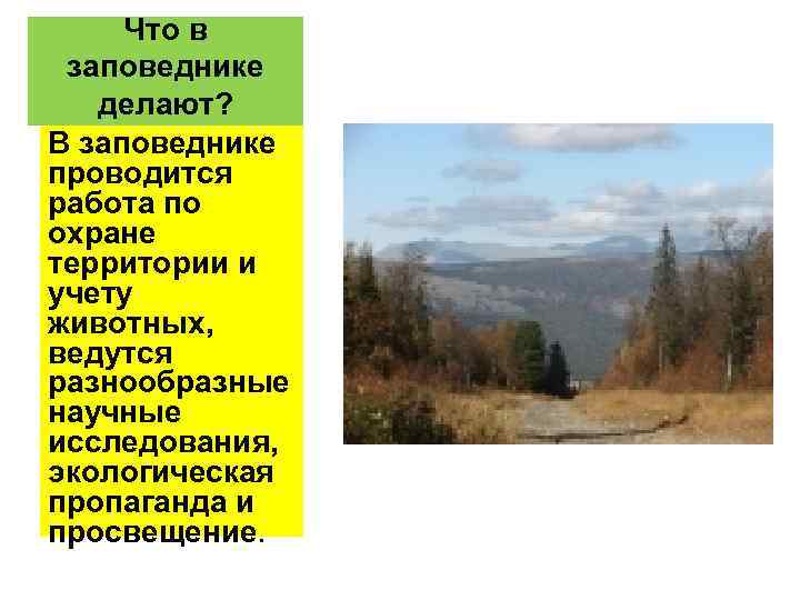 Что в заповеднике делают? В заповеднике проводится работа по охране территории и учету животных,