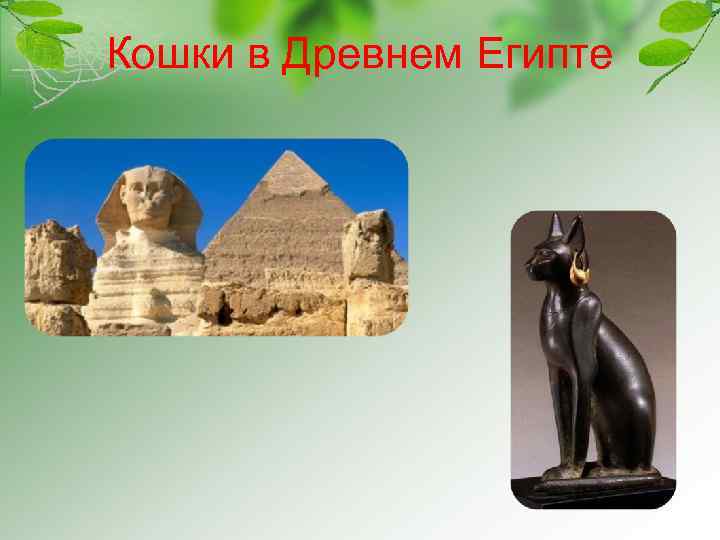 Кошки в Древнем Египте 