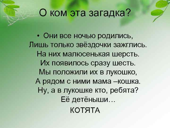О ком эта загадка? • Они все ночью родились, Лишь только звёздочки зажглись. На