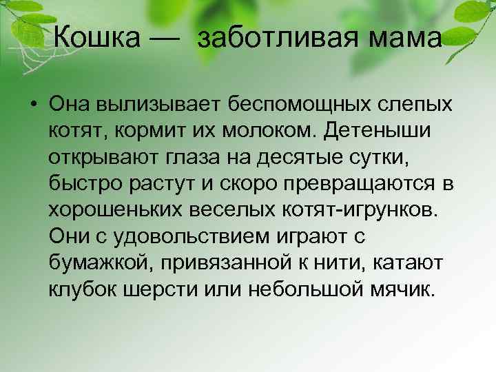 Кошка — заботливая мама • Она вылизывает беспомощных слепых котят, кормит их молоком. Детеныши