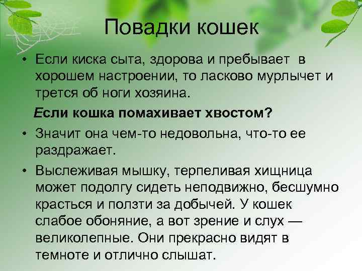 Повадки кошек • Если киска сыта, здорова и пребывает в хорошем настроении, то ласково