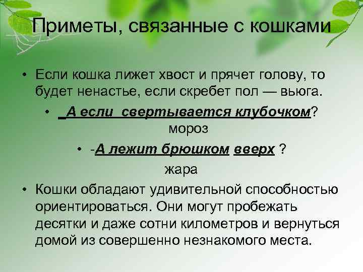 Приметы, связанные с кошками • Если кошка лижет хвост и прячет голову, то будет