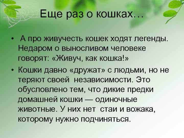 Еще раз о кошках… • А про живучесть кошек ходят легенды. Недаром о выносливом