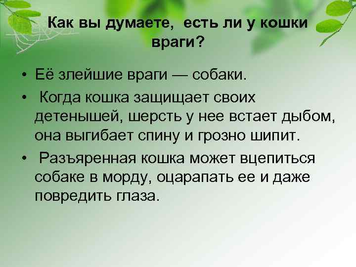 Как вы думаете, есть ли у кошки враги? • Её злейшие враги — собаки.