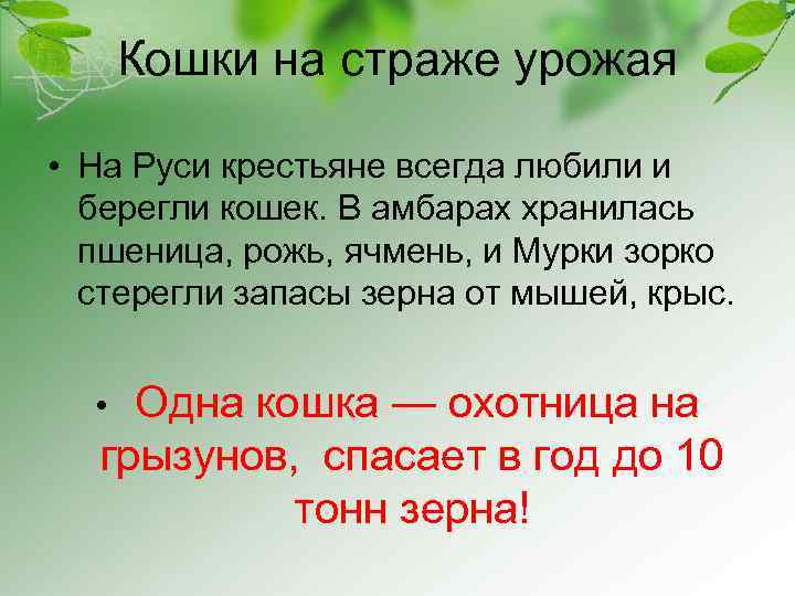 Кошки на страже урожая • На Руси крестьяне всегда любили и берегли кошек. В
