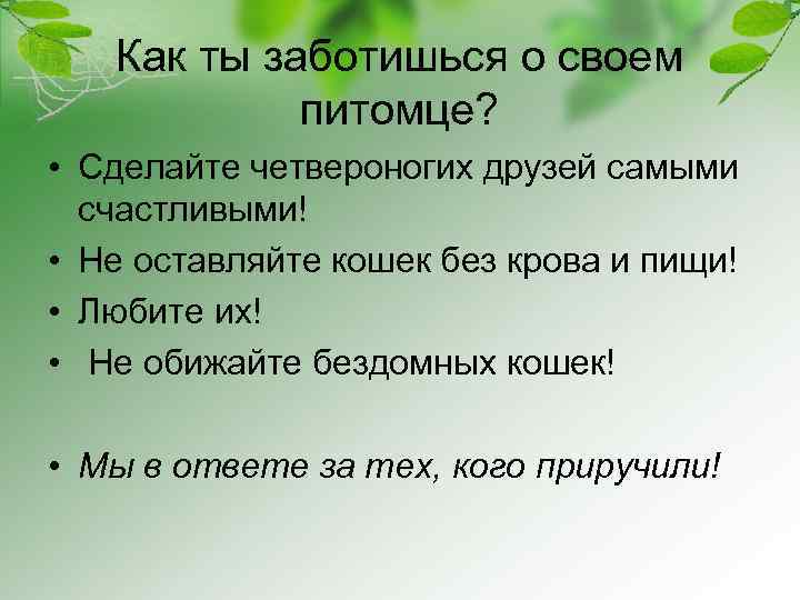 Как ты заботишься о своем питомце? • Сделайте четвероногих друзей самыми счастливыми! • Не