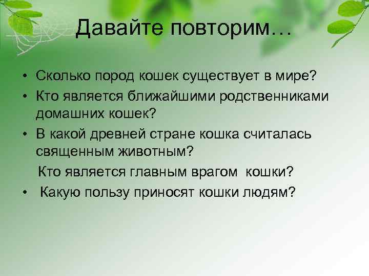 Давайте повторим… • Сколько пород кошек существует в мире? • Кто является ближайшими родственниками