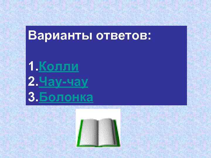 Варианты ответов: 1. Колли 2. Чау-чау 3. Болонка 