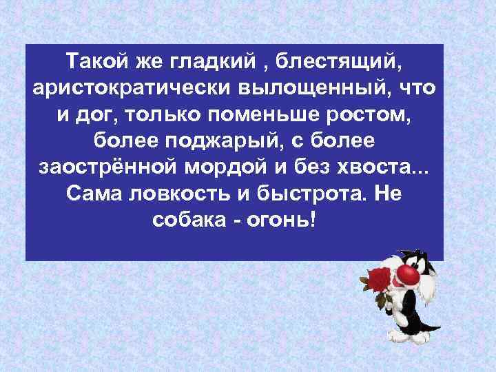 Такой же гладкий , блестящий, аристократически вылощенный, что и дог, только поменьше ростом, более