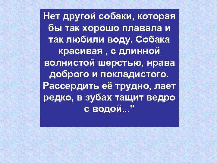 Нет другой собаки, которая бы так хорошо плавала и так любили воду. Собака красивая