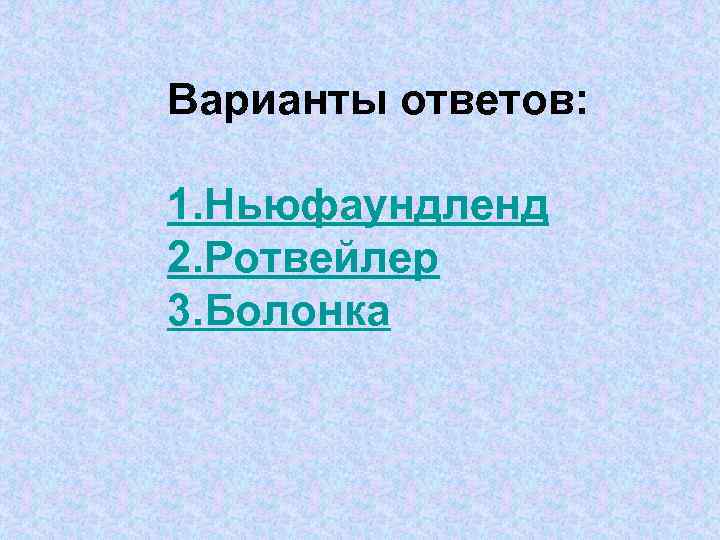 Варианты ответов: 1. Ньюфаундленд 2. Ротвейлер 3. Болонка 