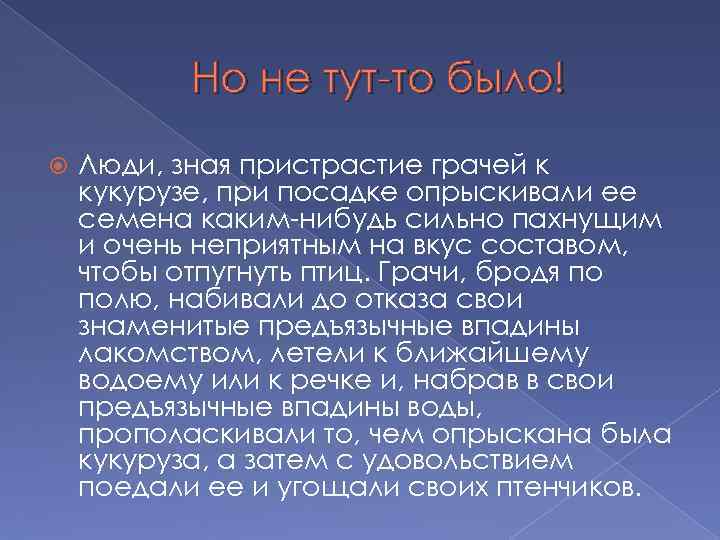 Но не тут-то было! Люди, зная пристрастие грачей к кукурузе, при посадке опрыскивали ее