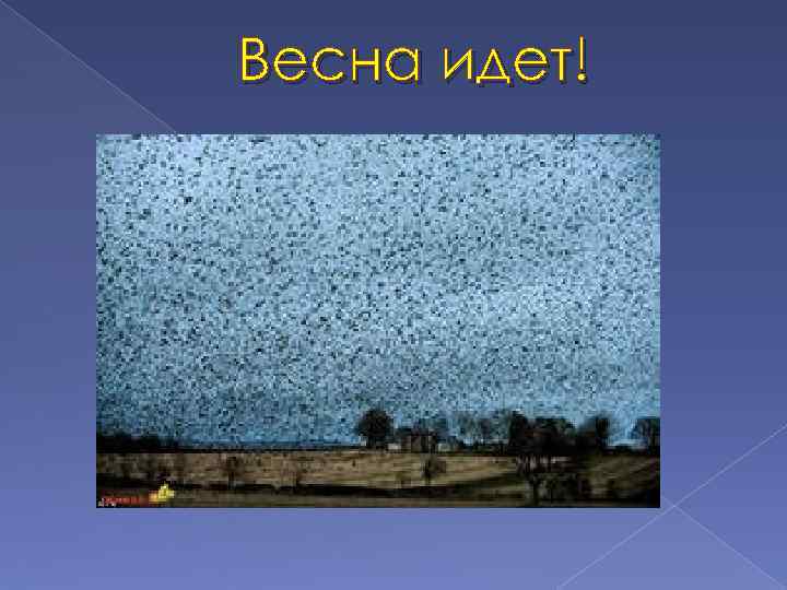 Весна идет! 