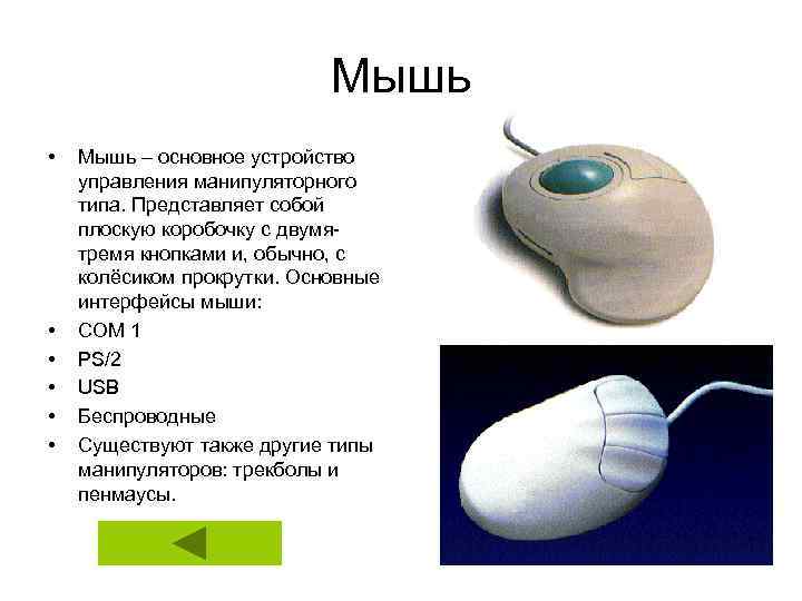 Мышь • • • Мышь – основное устройство управления манипуляторного типа. Представляет собой плоскую