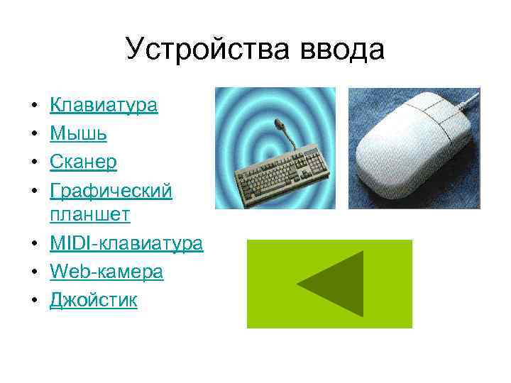 Устройства ввода • • Клавиатура Мышь Сканер Графический планшет • MIDI-клавиатура • Web-камера •