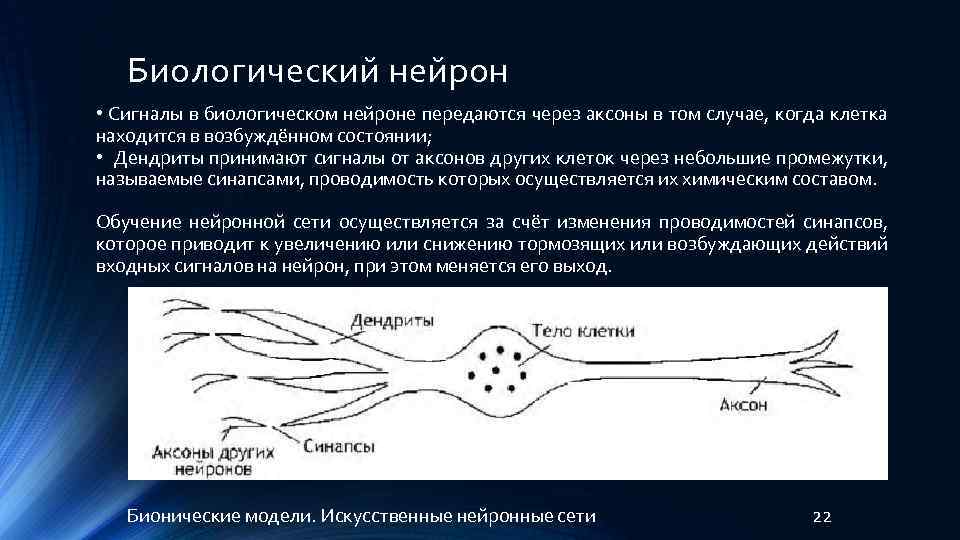 Сигнал нейрона. Биологическая модель нейрона. Искусственный Нейрон. Модель нейрона в нейронной сети. Схема искусственного нейрона.