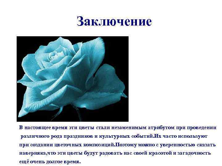 Заключение В настоящее время эти цветы стали незаменимым атрибутом при проведении различного рода праздников