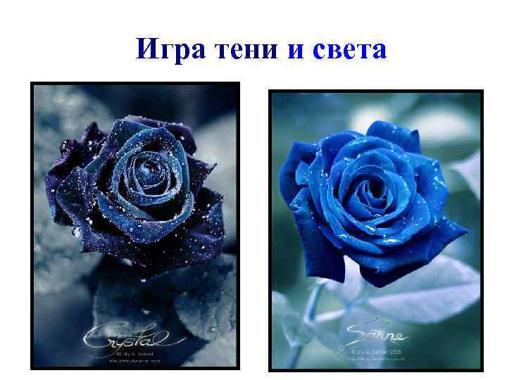 Игра тени и света 