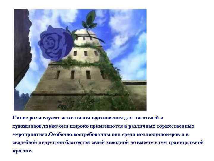 Синие розы служат источником вдохновения для писателей и художников, также они широко применяются в