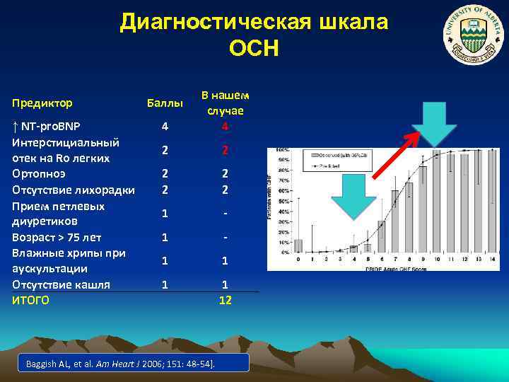 Диагностическая шкала ОСН Предиктор ↑ NT-pro. BNP Интерстициальный отек на Rо легких Ортопноэ Отсутствие