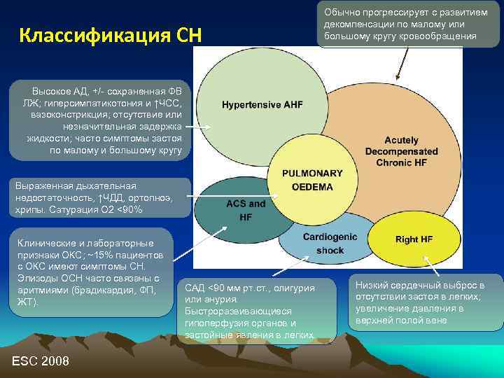 Классификация СН Обычно прогрессирует с развитием декомпенсации по малому или большому кругу кровообращения Высокое