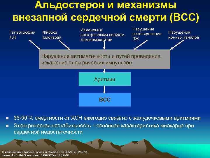 Альдостерон и механизмы внезапной сердечной смерти (ВСС) Гипертрофия ЛЖ Фиброз миокарда Изменения электрических свойств