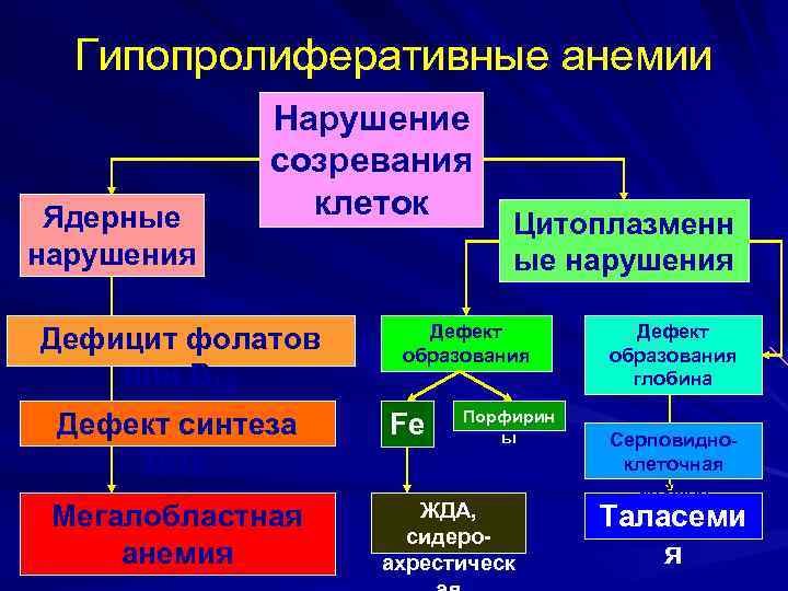 Гипопролиферативные анемии Ядерные нарушения Нарушение созревания клеток Дефицит фолатов или B 12 Дефект синтеза