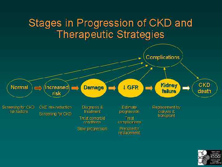 Stages in Progression of CKD and Therapeutic Strategies 