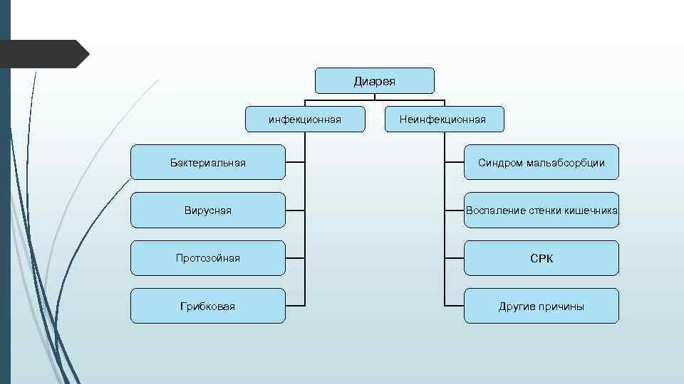 Диарея инфекционная Неинфекционная Бактериальная Синдром мальабсорбции Вирусная Воспаление стенки кишечника Протозойная СРК Грибковая Другие