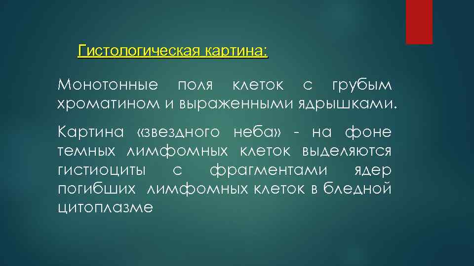 Гистологическая картина: Монотонные поля клеток с грубым хроматином и выраженными ядрышками. Картина «звездного неба»