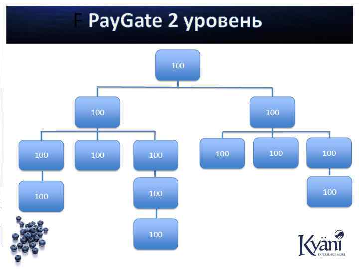 Свободные радикалы Это нестабильная злая молекула, которая делает большой вред в нашем организме. Фрукт