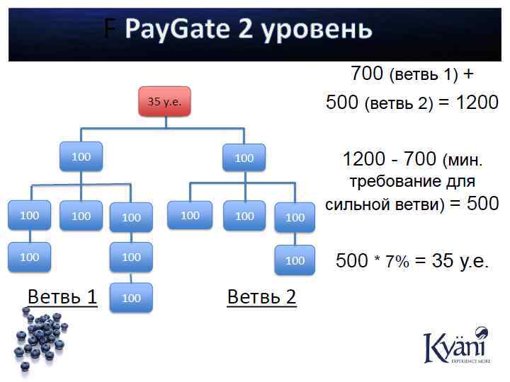 Антиоксидация ORAC (Oxygen Radical Absorbance Capacity) Показатель того, сколько антиоксидантов содержится в каждом продукте.