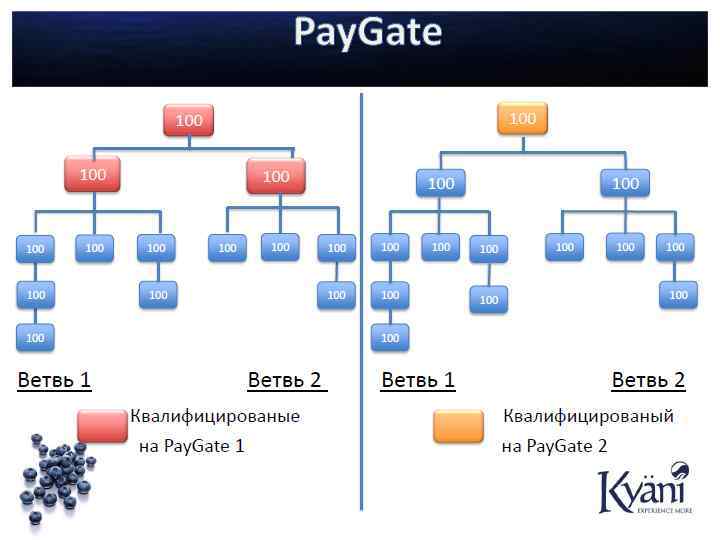 CAA- Cellular antioxidant activity (Антиоксидативная активность клетки) CAA дает информацию об усваимости, метаболизме, дестрибьюции