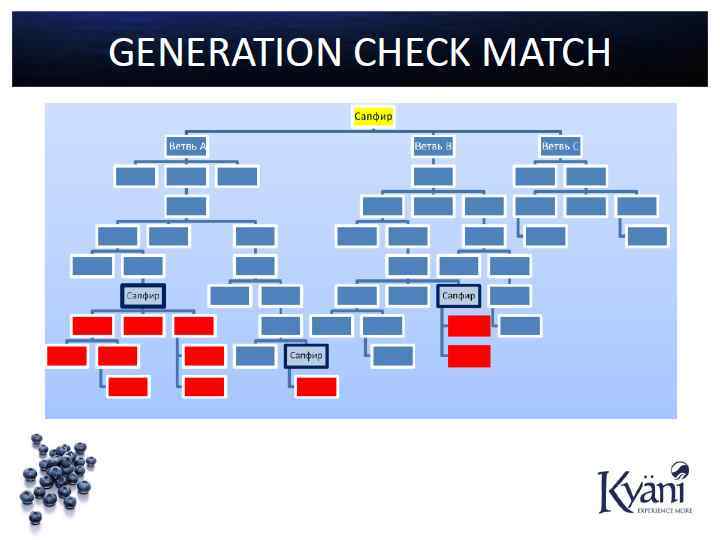 1 Имеет широкий питательный спектр. • Сбор продуктов в Треугольнике Здоровья KYÄNI содержит колосальный