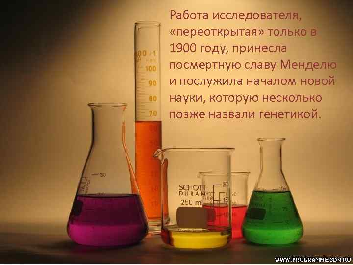 Работа исследователя, «переоткрытая» только в 1900 году, принесла посмертную славу Менделю и послужила началом