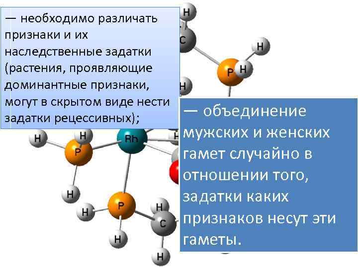 — необходимо различать признаки и их наследственные задатки (растения, проявляющие доминантные признаки, могут в