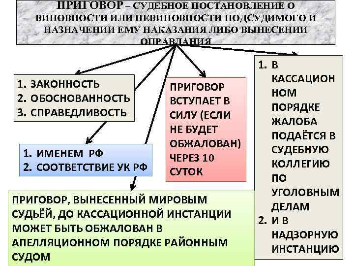 План уголовный процесс обществознание