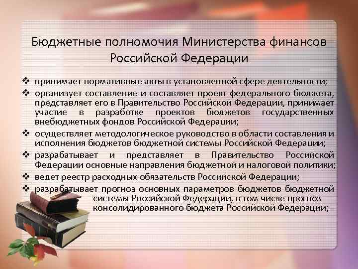 Министерство финансов презентация