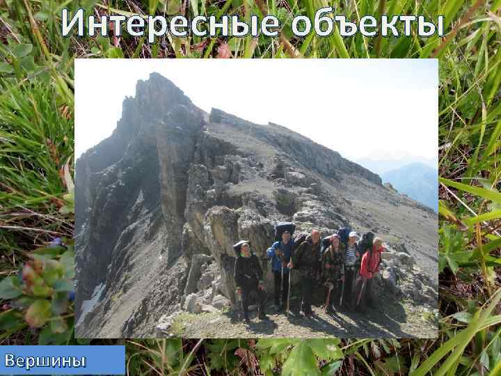 Интересные объекты Вершины 