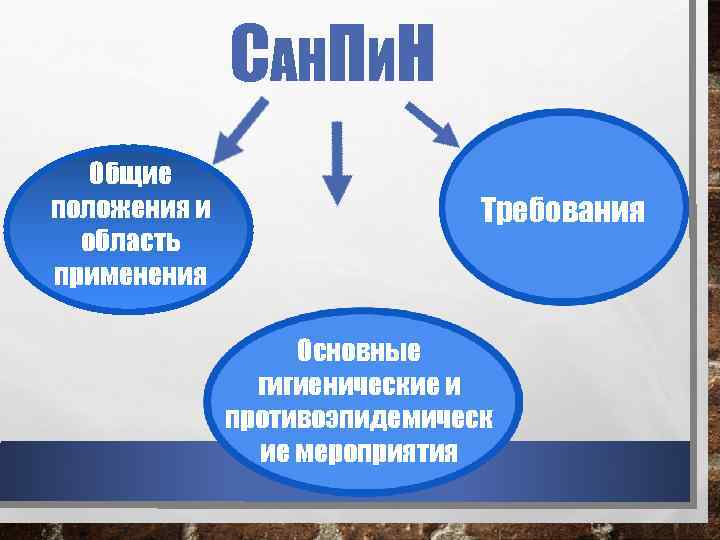 САНПИН Общие положения и область применения Требования Основные гигиенические и противоэпидемическ ие мероприятия 
