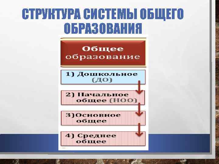 СТРУКТУРА СИСТЕМЫ ОБЩЕГО ОБРАЗОВАНИЯ 
