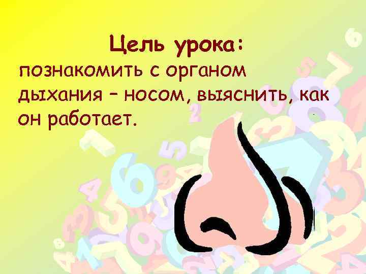 Цель урока: познакомить с органом дыхания – носом, выяснить, как он работает. 