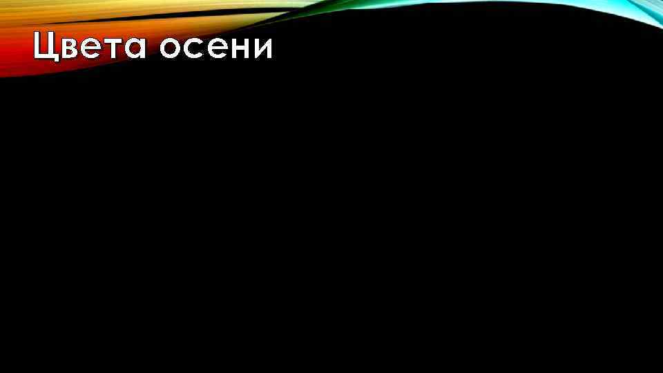 Цвета осени 