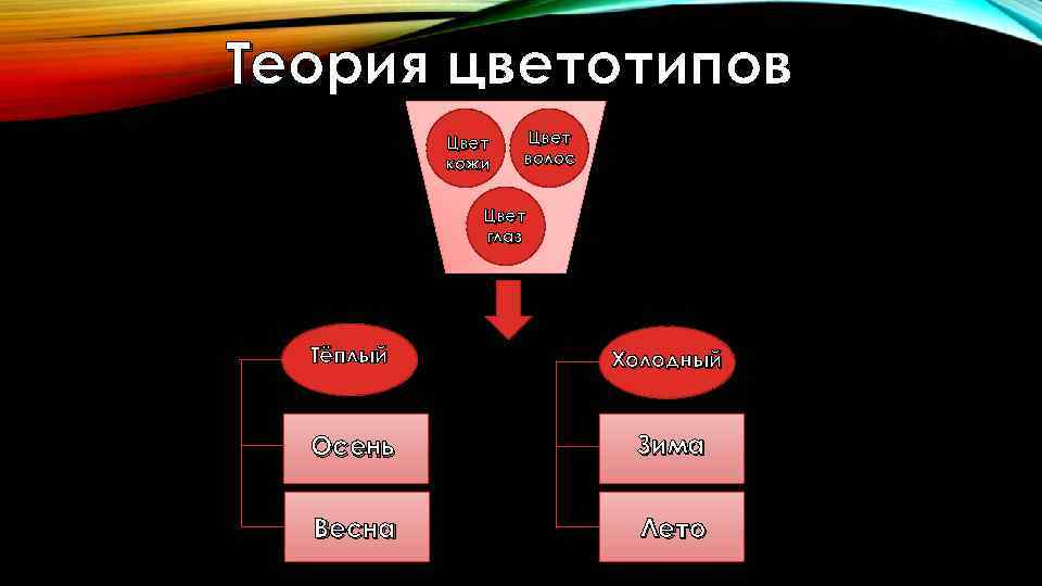 Теория цветотипов Цвет кожи Цвет волос Цвет глаз Тёплый Холодный Осень Зима Весна Лето