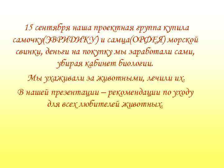 15 сентября наша проектная группа купила самочку(ЭВРИДИКУ) и самца(ОРФЕЯ) морской свинки, деньги на покупку