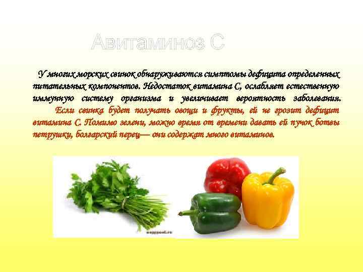 Авитаминоз С У многих морских свинок обнаруживаются симптомы дефицита определенных питательных компонентов. Недостаток витамина