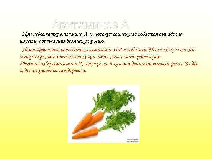 Авитаминоз А При недостатке витамина А, у морских свинок наблюдается выпадение шерсти, образование болячек