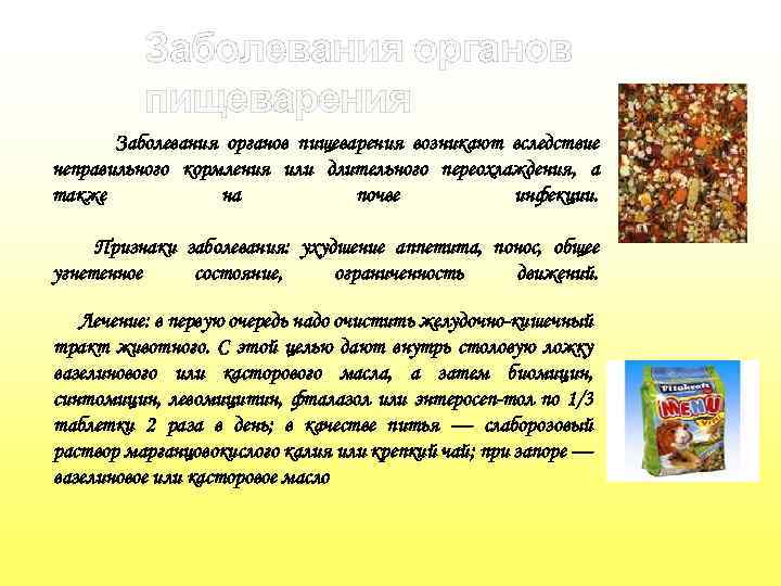 Заболевания органов пищеварения возникают вследствие неправильного кормления или длительного переохлаждения, а также на почве