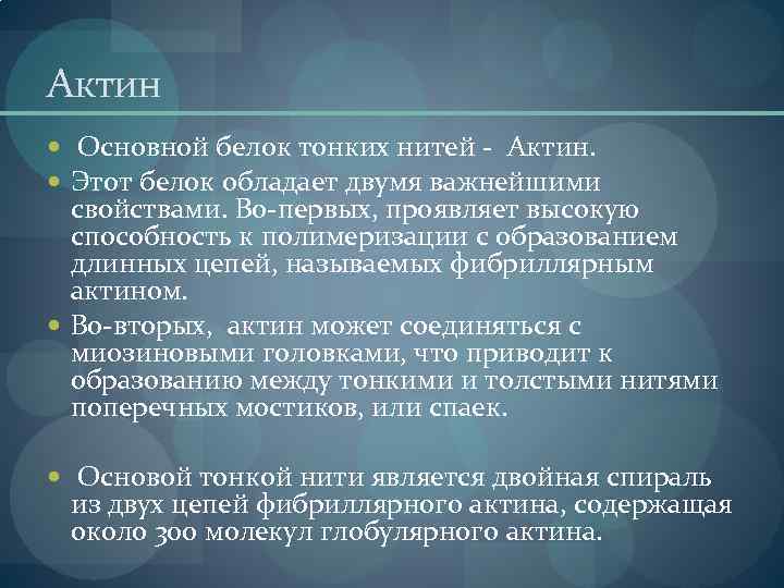 Актин Основной белок тонких нитей - Актин. Этот белок обладает двумя важнейшими свойствами. Во-первых,