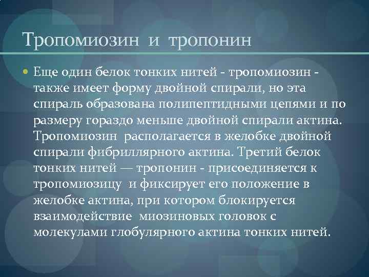 Тропомиозин и тропонин Еще один белок тонких нитей - тропомиозин - также имеет форму